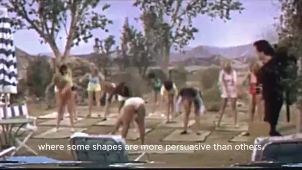 assdaq video