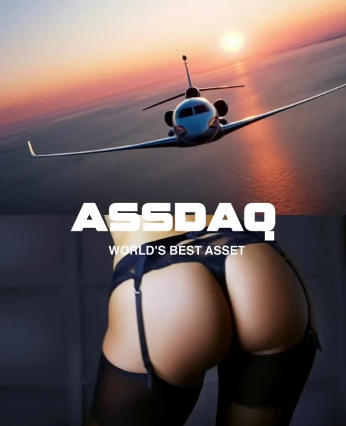 assdaq video
